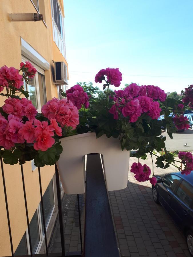Angel Apartament Sibiu Exterior photo
