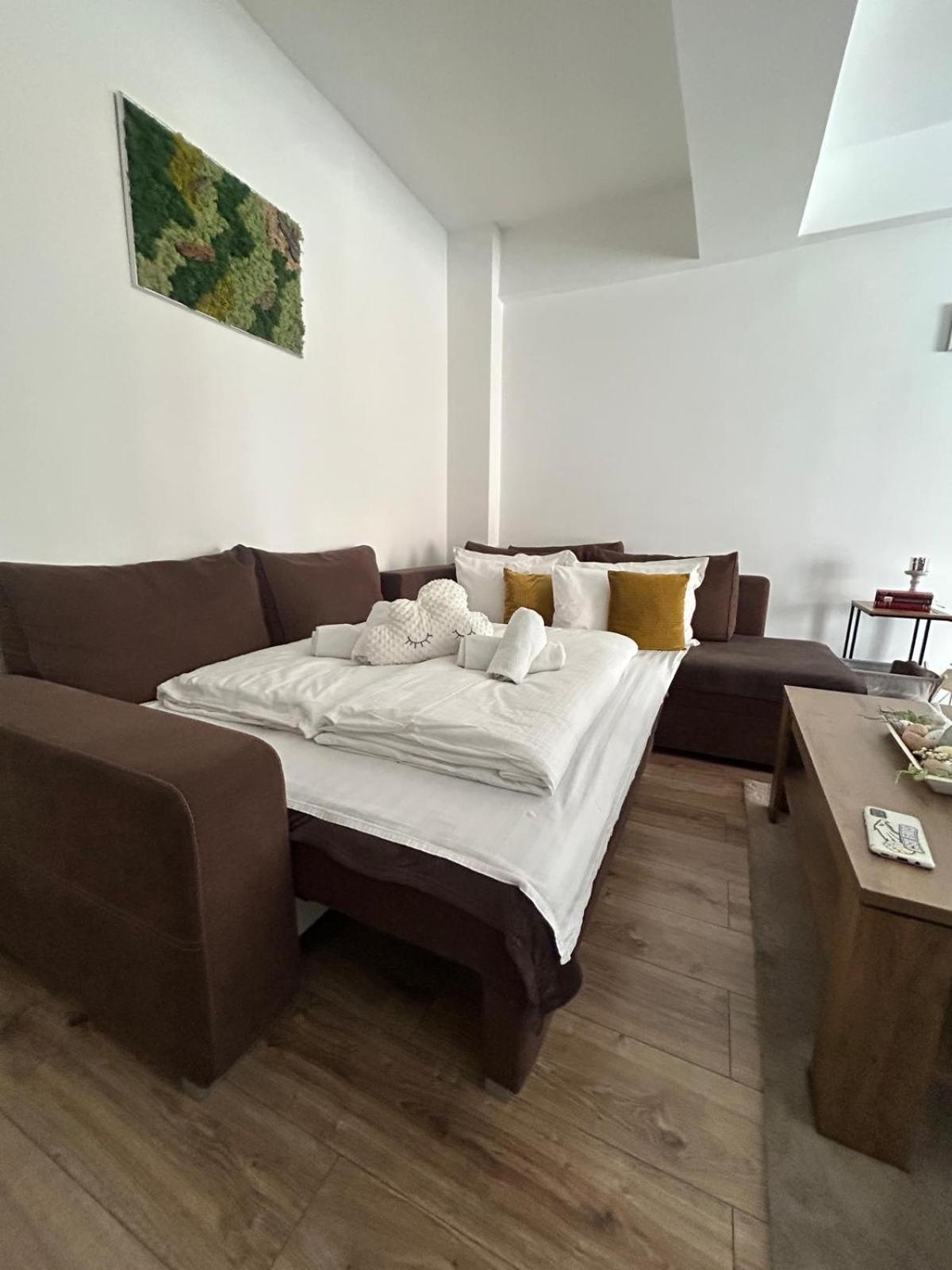Angel Apartament Sibiu Exterior photo