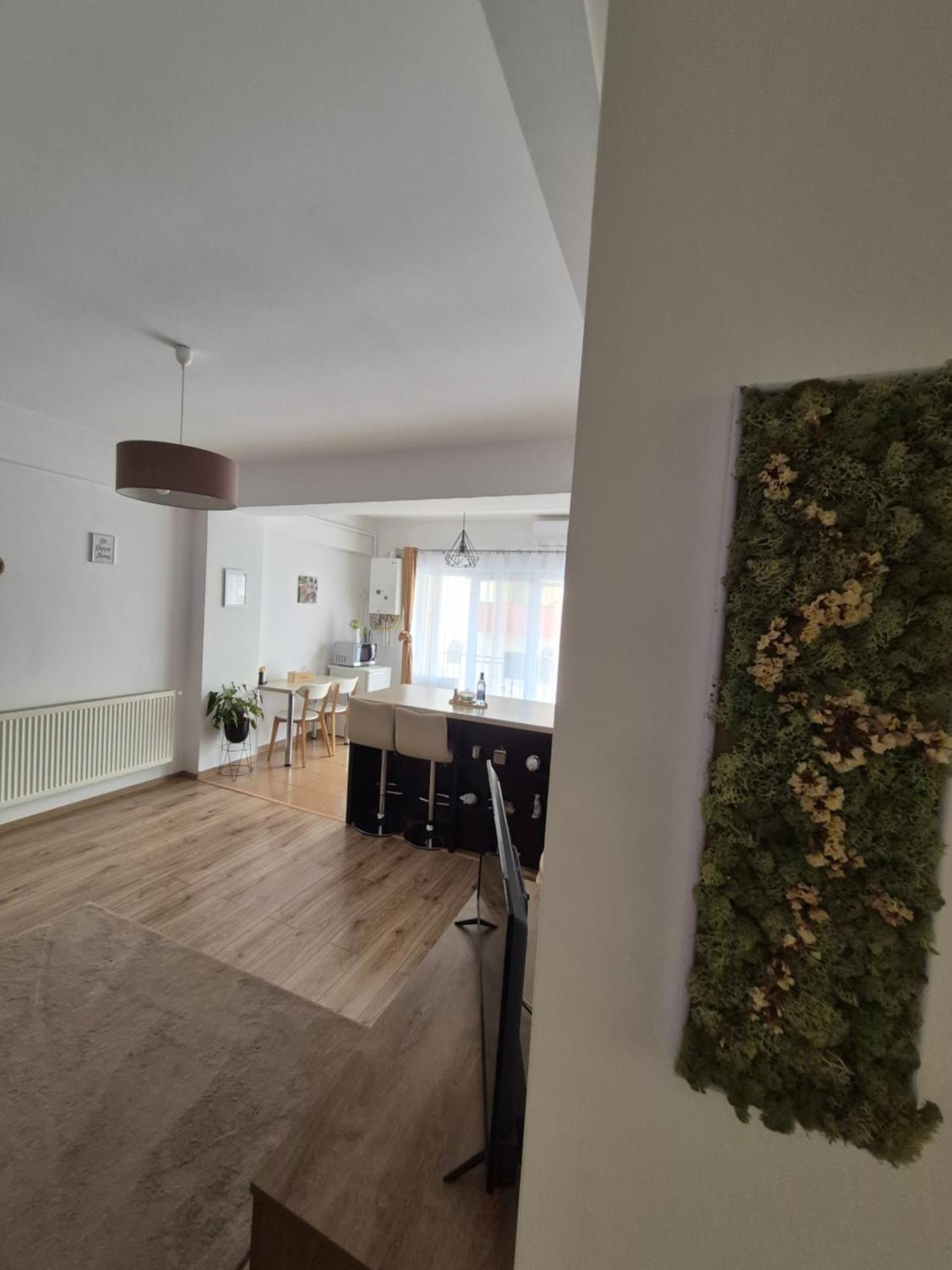 Angel Apartament Sibiu Exterior photo